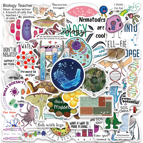Biology 1 Vinyl Stickers 50pc