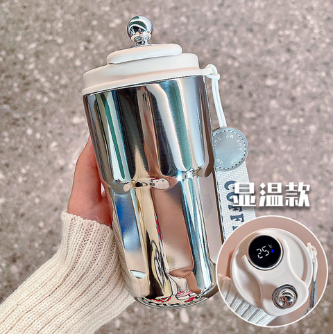 Digital Temperature Water Thermos