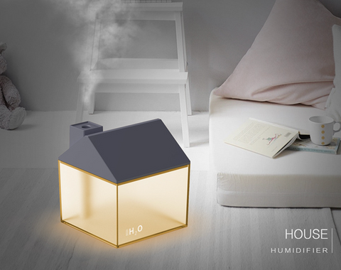 House Humidifier