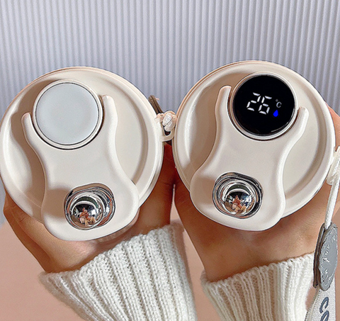 Digital Temperature Water Thermos