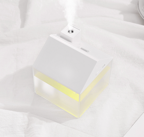House Humidifier