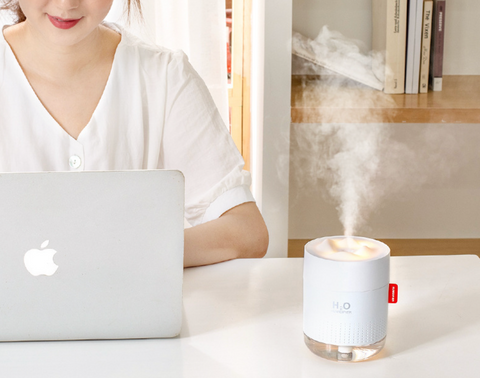 Mountain Top Humidifier