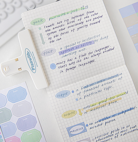 Planwith Ultimate Sticker Planner Set