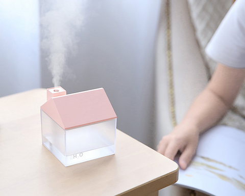 House Humidifier