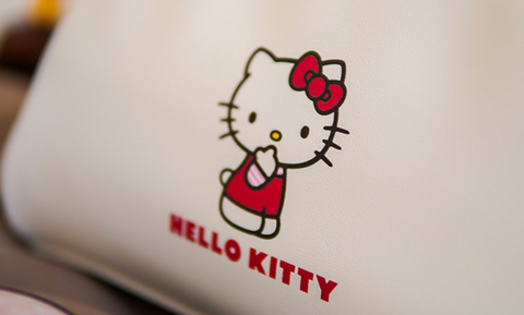 Sanrio Dual Zipper Makeup Case