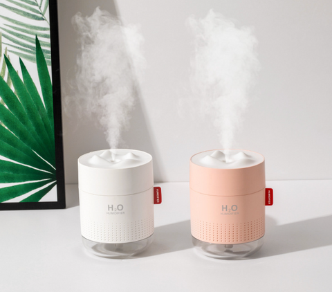 Mountain Top Humidifier