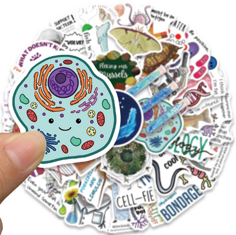 Biology 1 Vinyl Stickers 50pc