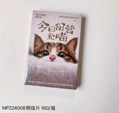 Today's Business Meow Postcards