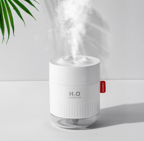 Mountain Top Humidifier
