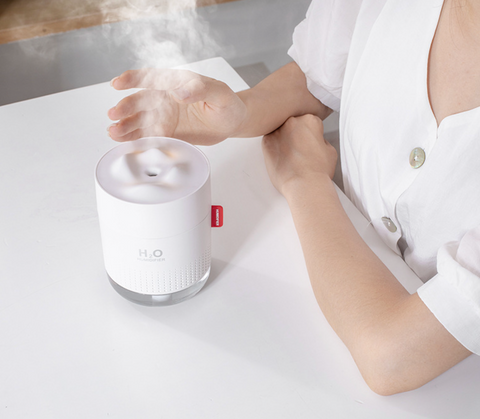 Mountain Top Humidifier