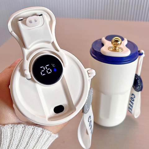 Digital Temperature Water Thermos