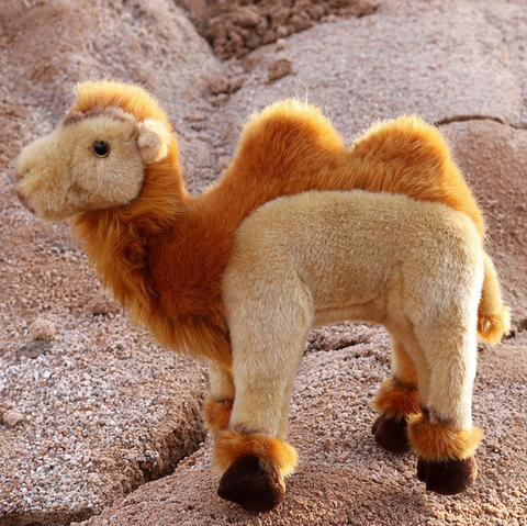 Camel Plush 30cm