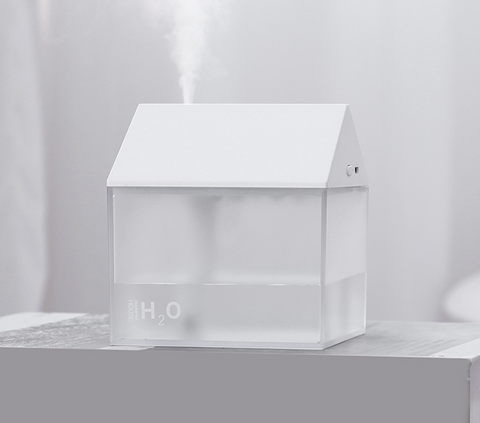 House Humidifier