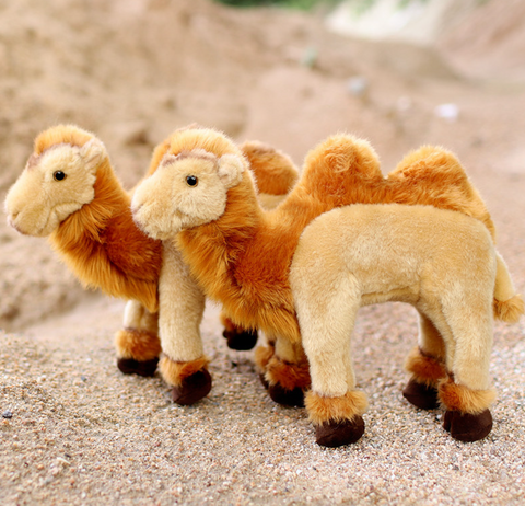 Camel Plush 30cm