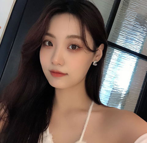 Heart Stone Earring
