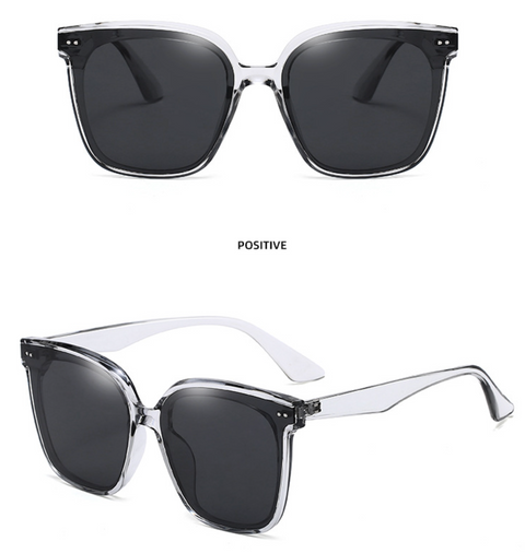 Large Frame Sunglasses Polarized