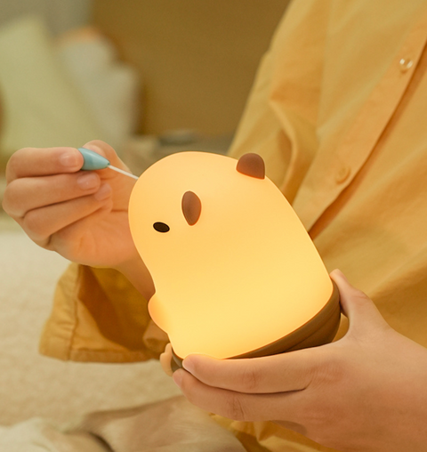 Snottybara Nightlight