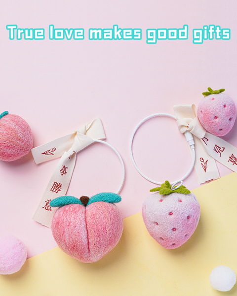 Fruit Needle Felt Set