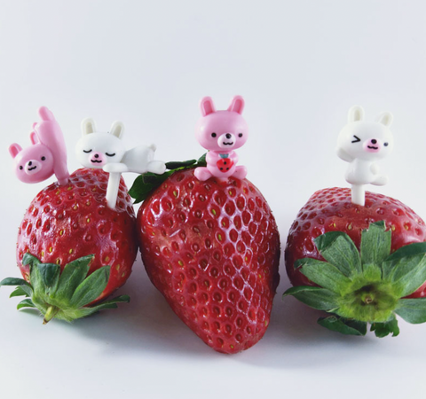 Usagi Bento Picks