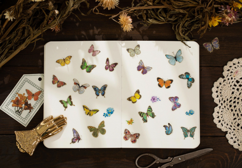 Magic Butterfly Sticker