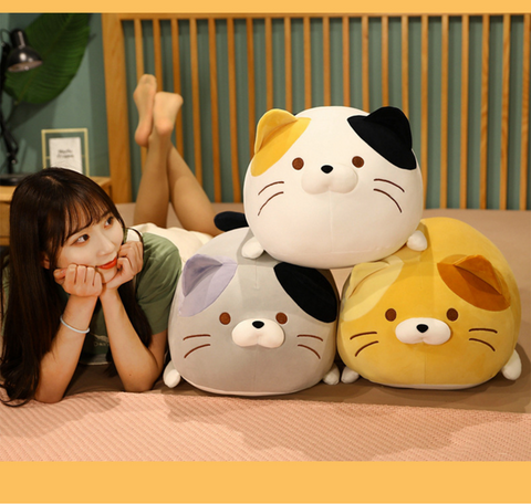 35cm Chubby Cat Plush