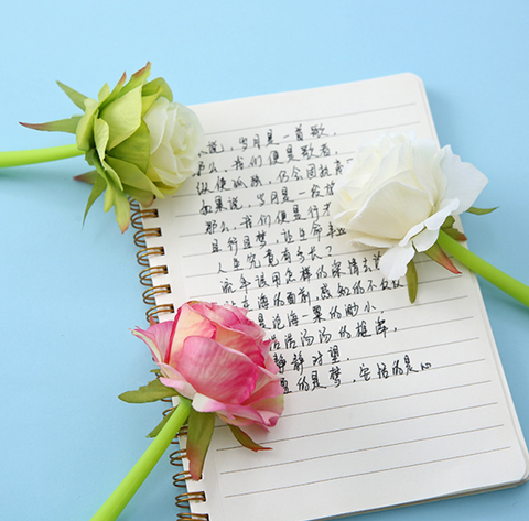Neutral Rose Gel Ink Pen 0.5mm