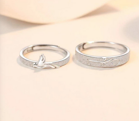 Flight Ring