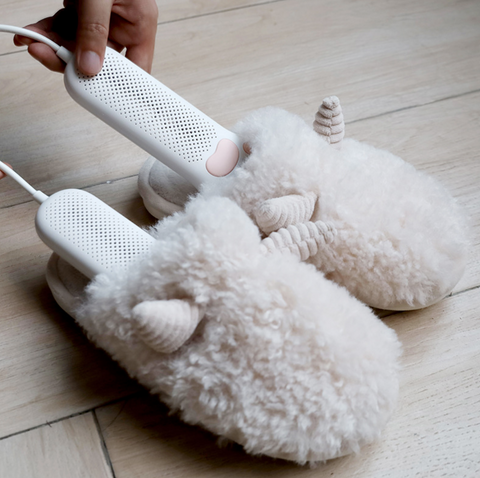 Cat Paw Shoe Heater