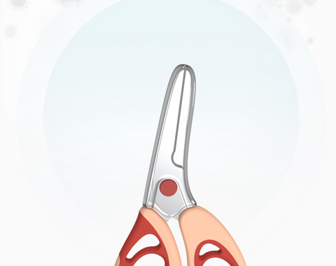Stainless Steel Food Scissors