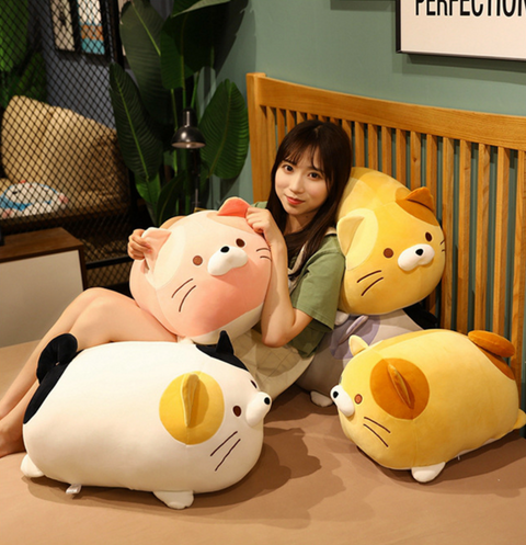 35cm Chubby Cat Plush