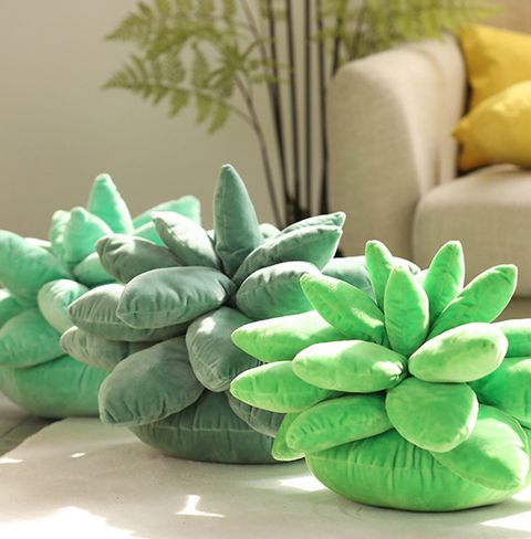 25cm Succulent Pillow Plush