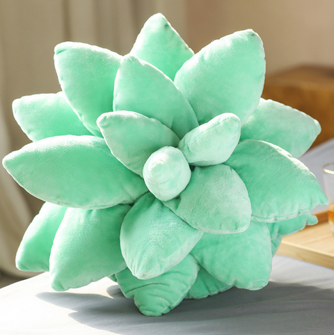 25cm Succulent Pillow Plush