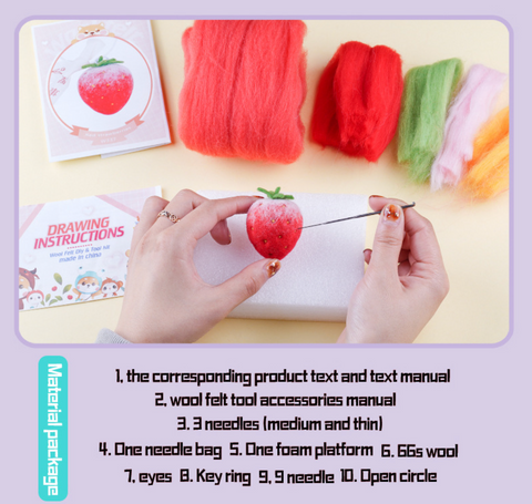 Fruit Needle Felt Set