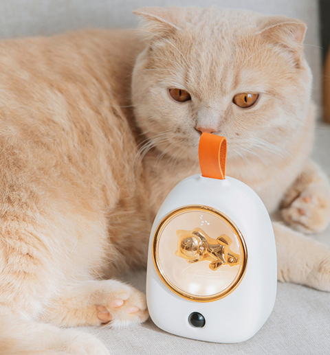 Gold Cat Nightlight