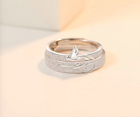 Flight Ring