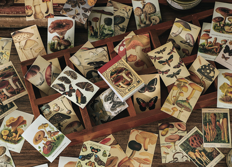 Infeel.Me Deco Wildlife Scrap Paper Sticker Book