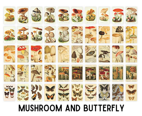 Infeel.Me Deco Wildlife Scrap Paper Sticker Book