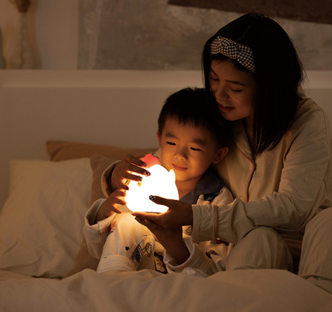 Chubby Chicken Nightlight