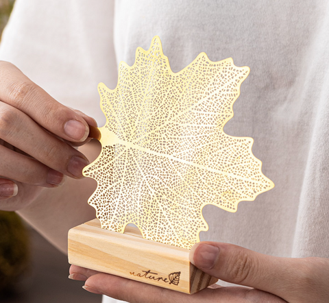 Leaf Tea Filter