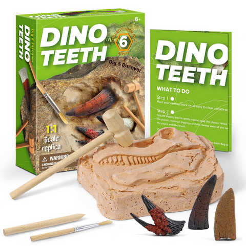 Dino Teeth Kit