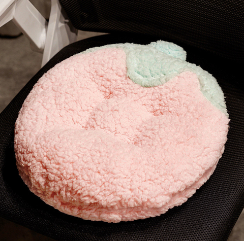 40cm Fruit Cushion