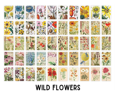 Infeel.Me Deco Wildlife Scrap Paper Book Wild Flowers