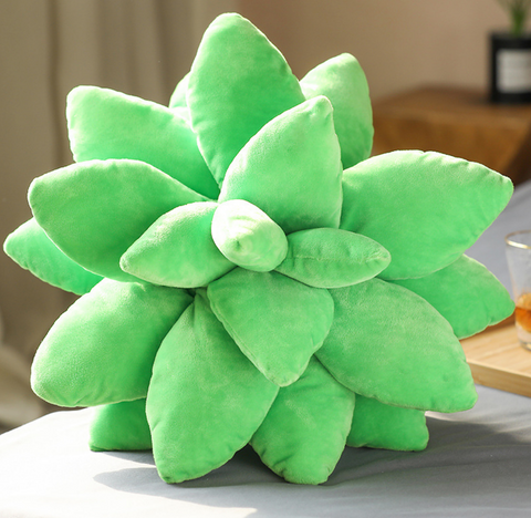 25cm Succulent Pillow Plush