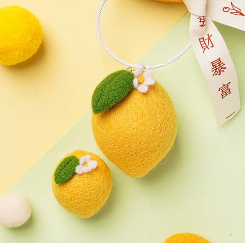 Fruit Needle Felt Set
