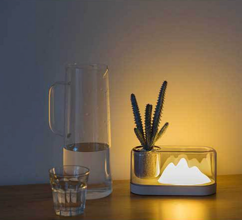Plant Mountain Nightlight
