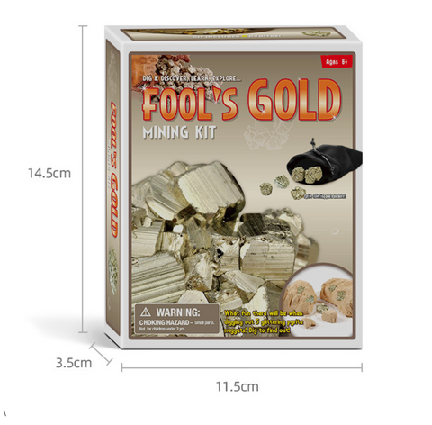 Fossil Dig Kit