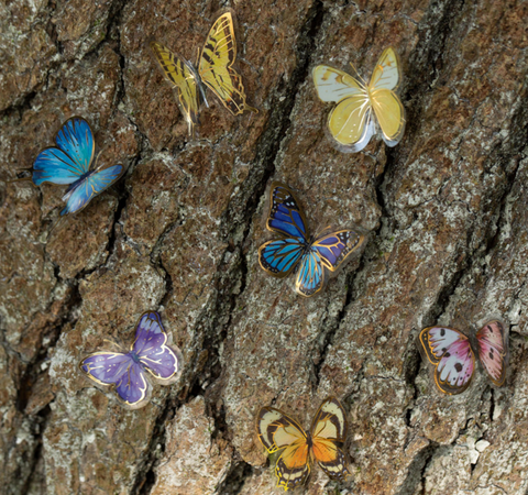 Magic Butterfly Sticker