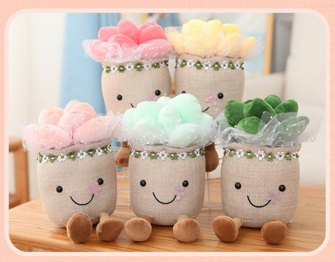 25cm Colorful Succulent Plant Plush