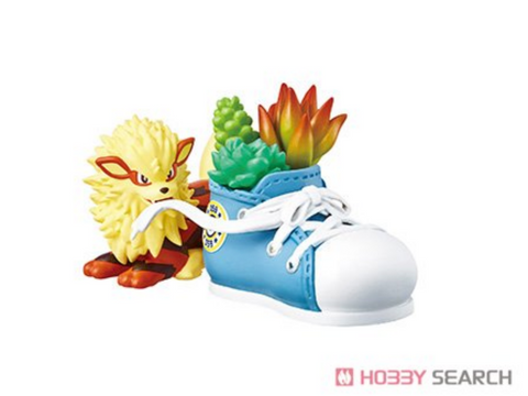 Pokemon Pocket Botanical Statues