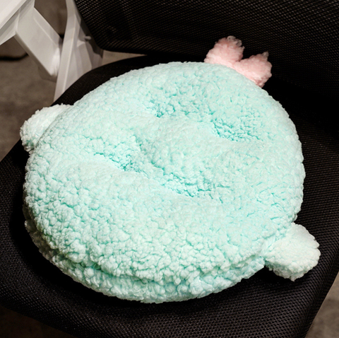 40cm Fruit Cushion